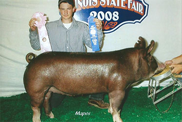 Knight Show Pigs Winners