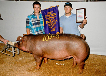 Winners