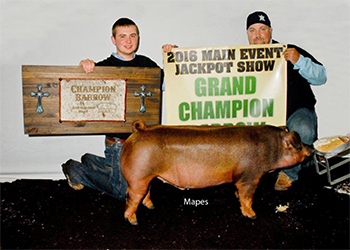 Winners
